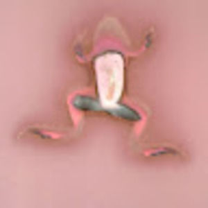 Meet your Posher, Helene